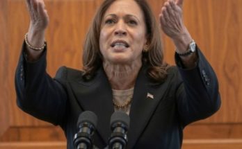DNC autopsy report Harris campaign