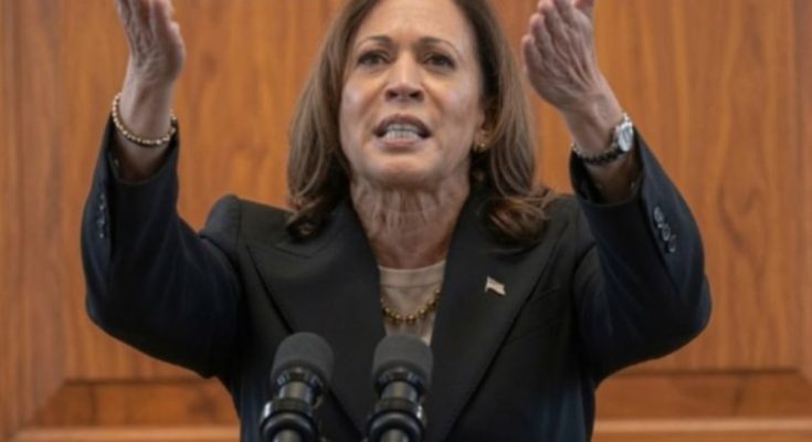 DNC autopsy report Harris campaign