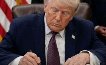Trump Iran strikes canceled