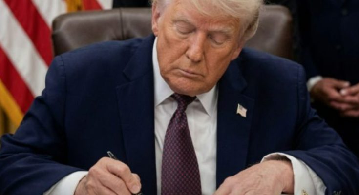 Trump Iran strikes canceled