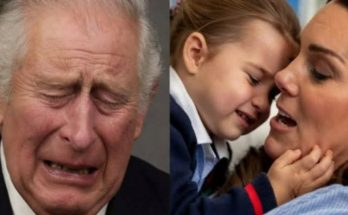 King Charles Prince William announcement