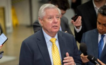 Lindsey Graham primary election South Carolina