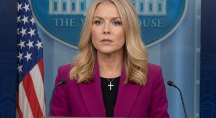 FEMA administrator removed