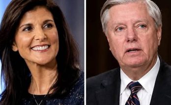 Nikki Haley Graham Senate seat