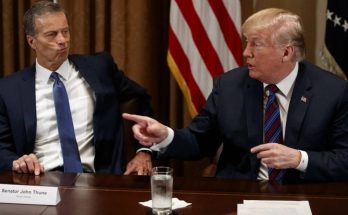 Trump Thune Senate Majority Leader