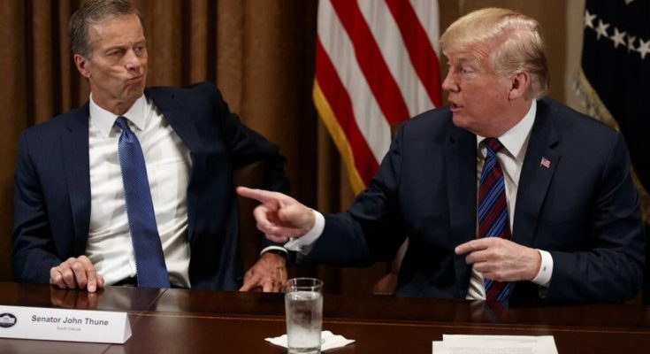 Trump Thune Senate Majority Leader