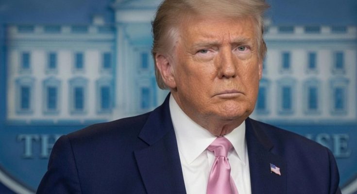 Trump DC federalization safety