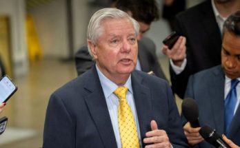 Lindsey Graham South Carolina primary