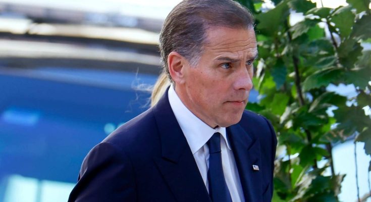 Hunter Biden trial testimony