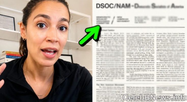 Democratic Socialists of America DSA platform