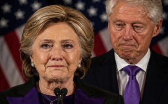 Clinton Trump UFC White House