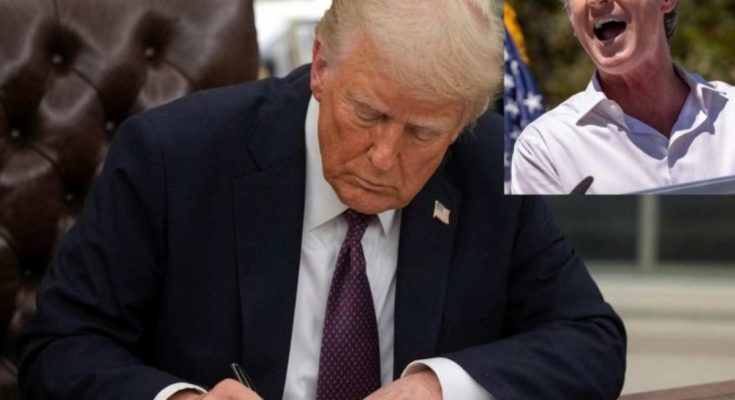 Trump voting order appeal