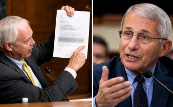 Fauci Senate hearing GOP